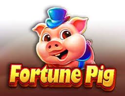 65x bet login